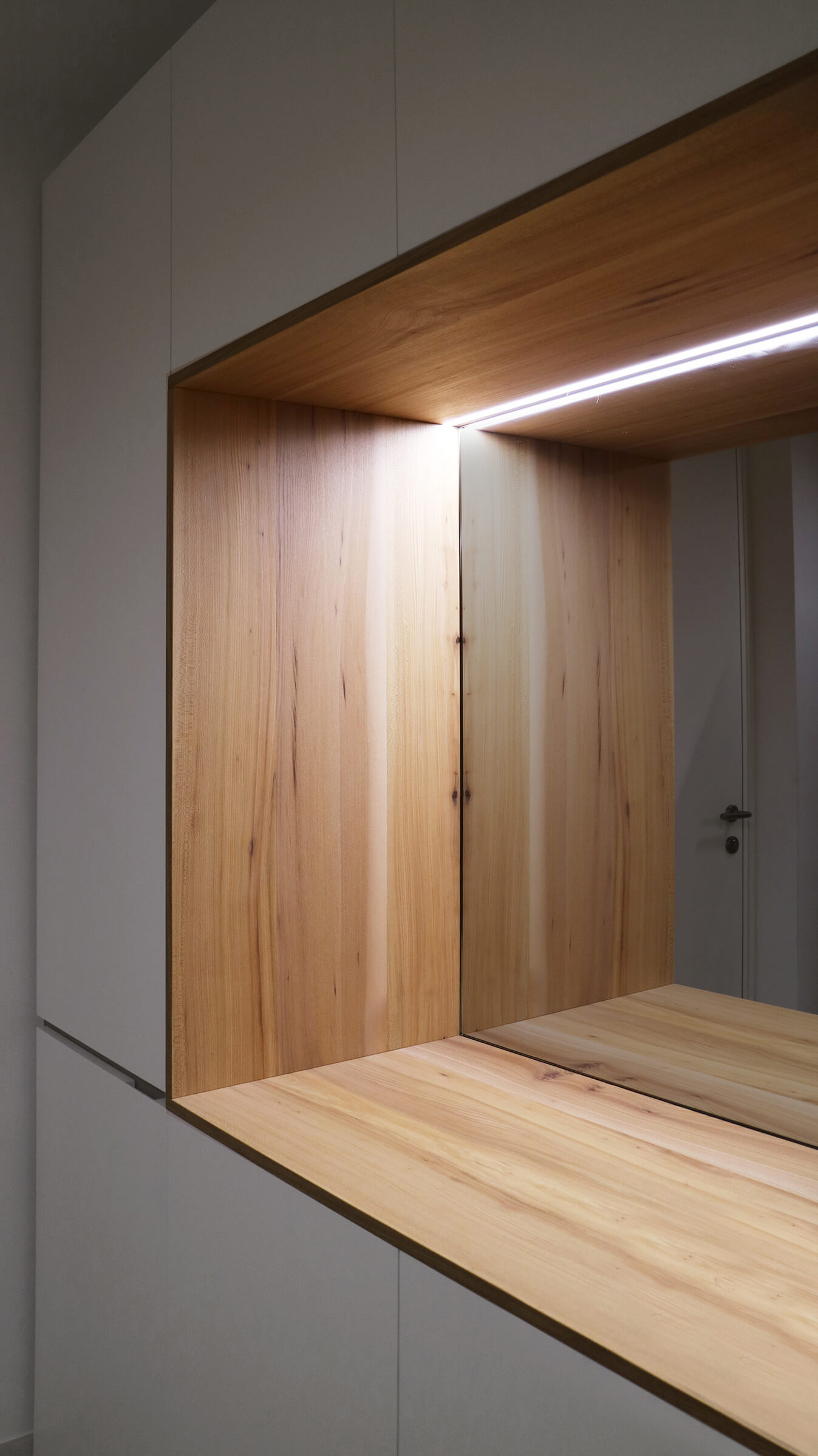 libreria ingresso gatto 03