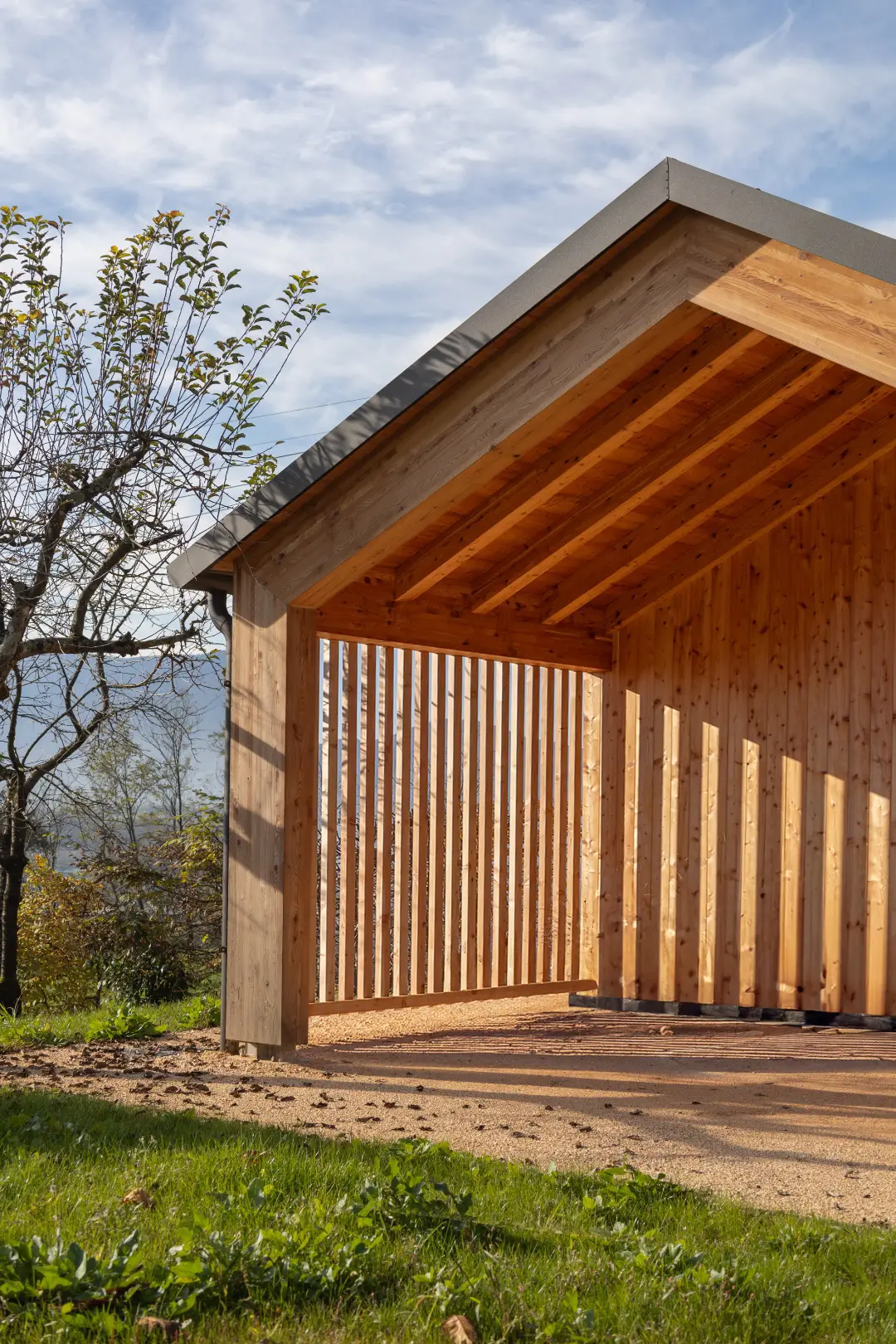 mf architettura belluno 01